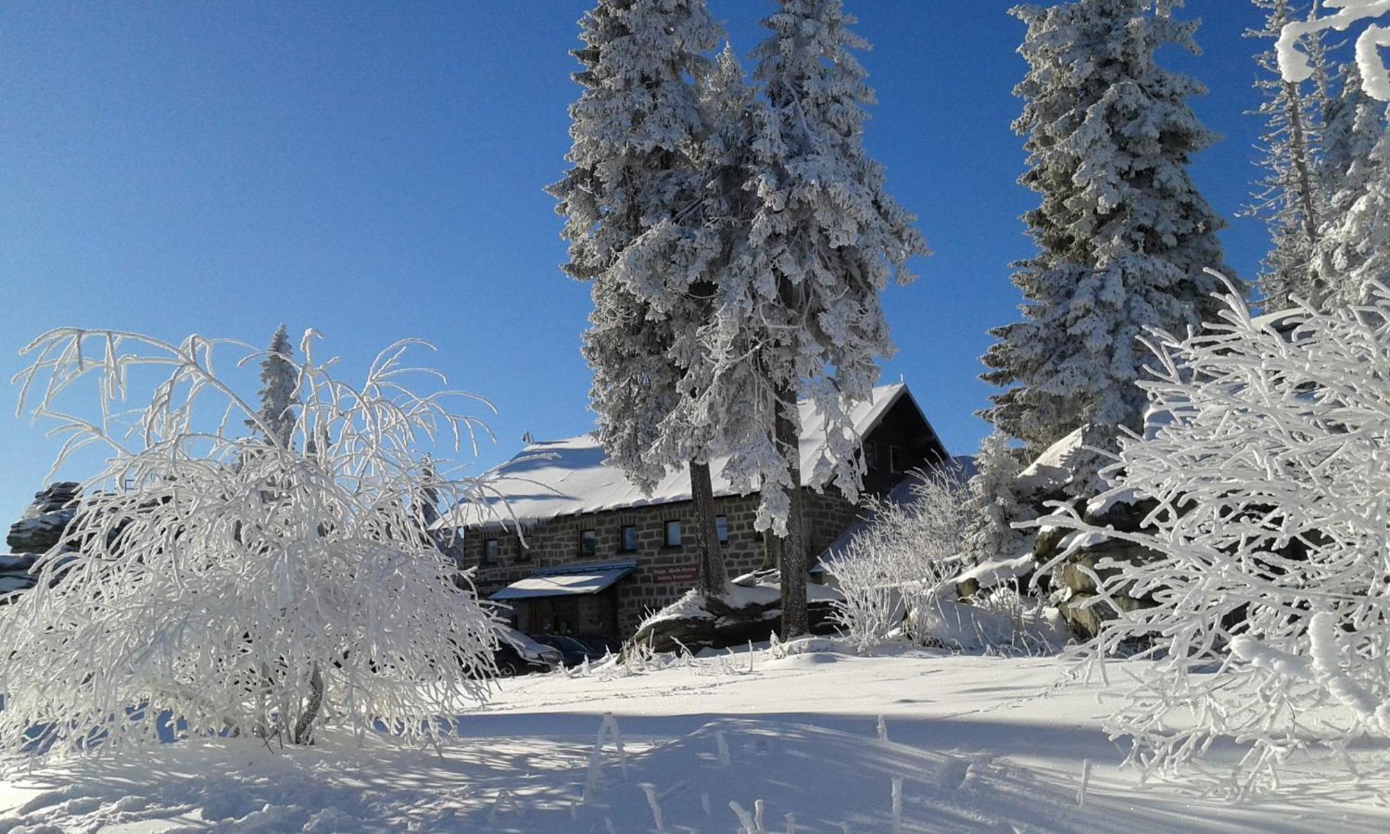 Ferienwohnung Bayerwaldblick Jandelsbrunn 外观 照片